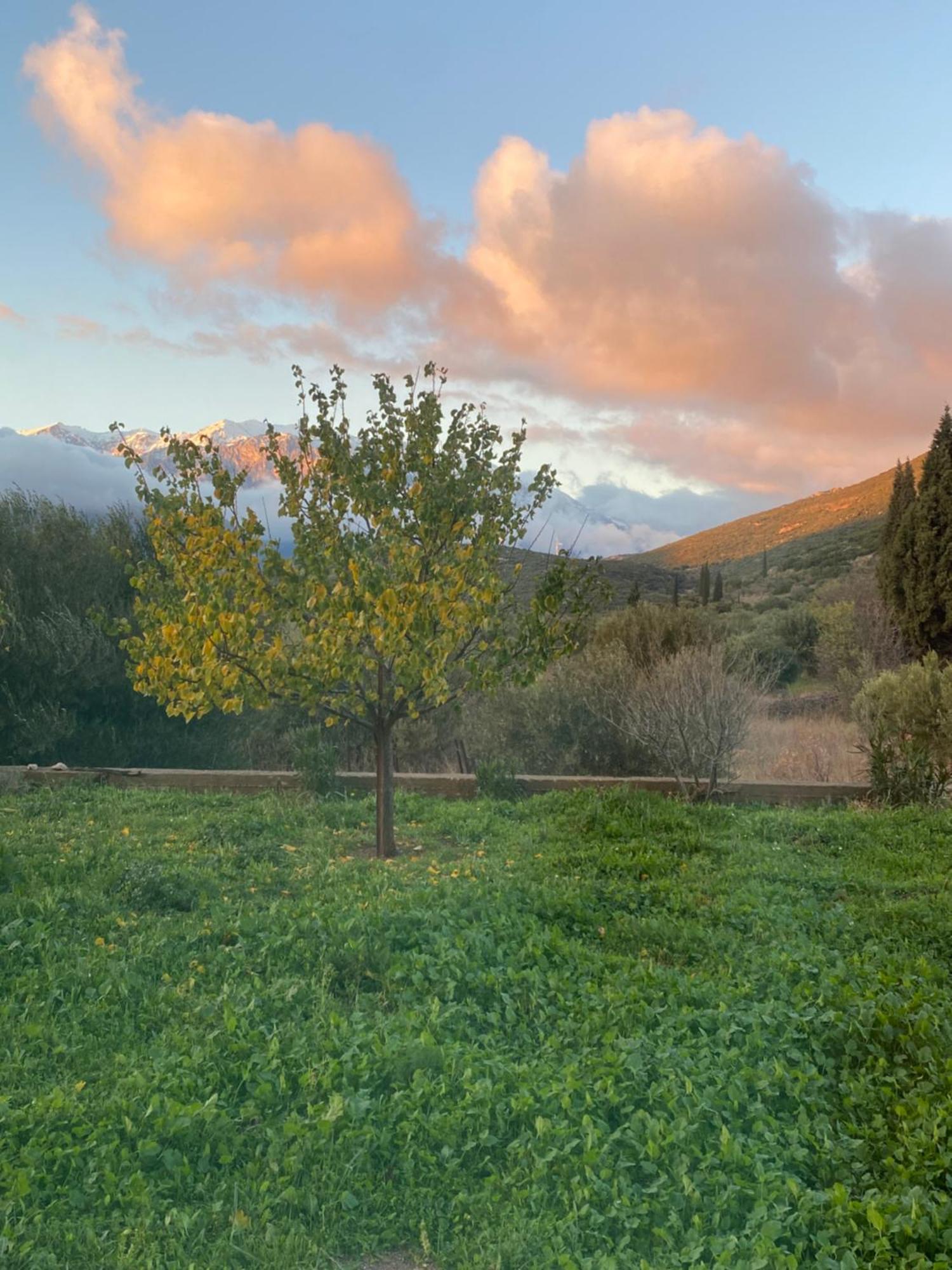 Stellas Guesthouse Near Arachova Stírion Eksteriør bilde